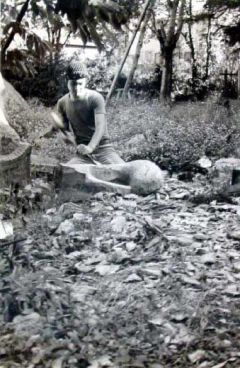 tetsuo harada